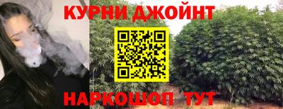 прущие грибы Гусев