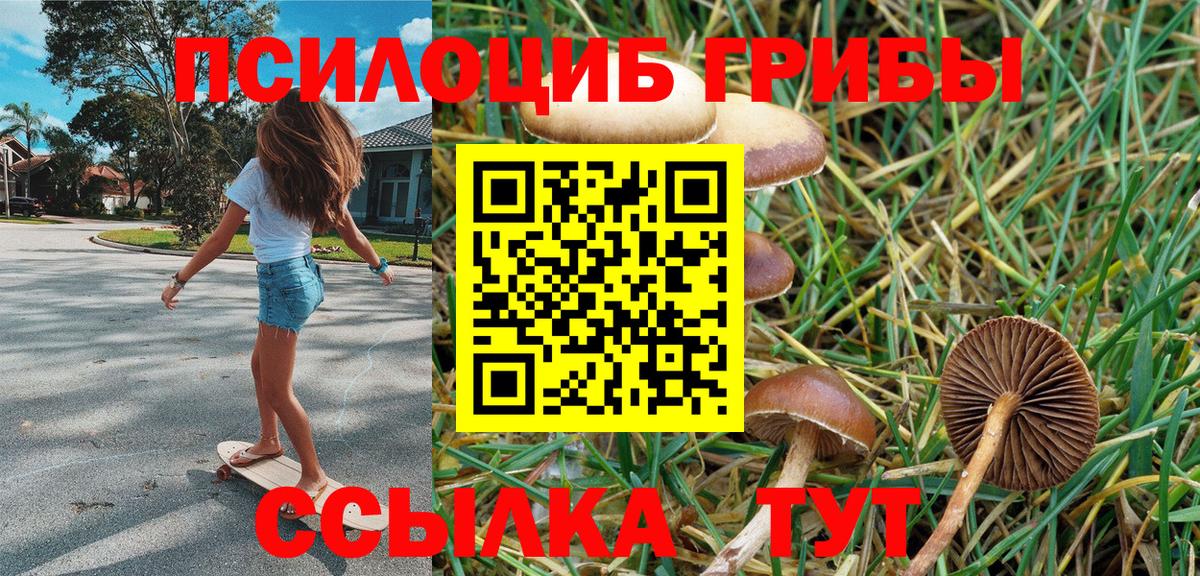 Псилоцибиновые грибы GOLDEN TEACHER Кореновск